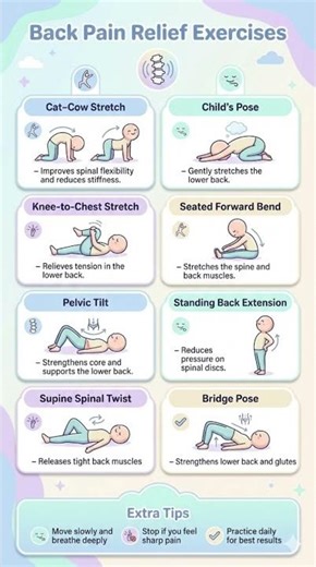 Back Pain Relief Exercises