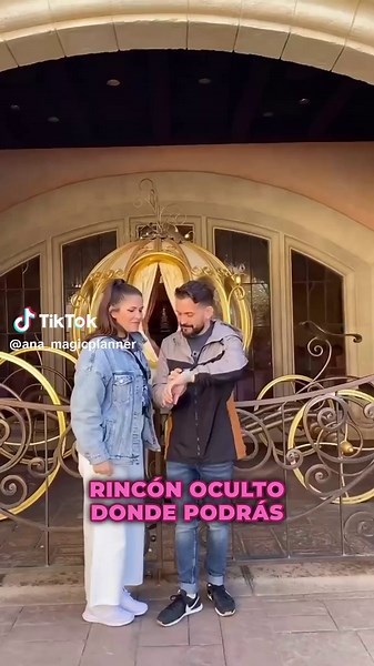 ana_magicplanner on TikTok