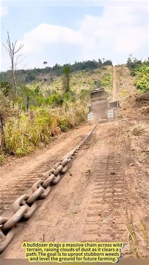 Land-Clearing Beast: Bulldozer Chain Pulverizes Wild Terrain!