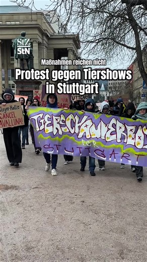 Weltweihnachtscircus in Stuttgart verzichtet künftig auf Tiernummern – nach massiven Protesten von Aktivisten. Für Tierschützer ist das aber nur der Anfang: Sie fordern ein komplettes Verbot von Unterhaltung mit Tieren in der Stadt. Volksfestumzug, Cavalluna, Zirkusse oder die Messe Animal – all dies dürfte laute den Aktvisten und Aktivistinne gar nicht mehr oder nur noch ohne Tiere stattfinden. Rund 50 Demonstrierende protestierten dafür am Samstag im Regen auf dem Schlossplatz. #Tierschutz #St
