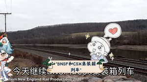 BNSF和CSX集装箱列车