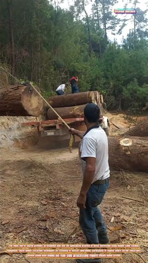 The Art of Skidding and Loading Timber with Truck-Mounted Winch Systems