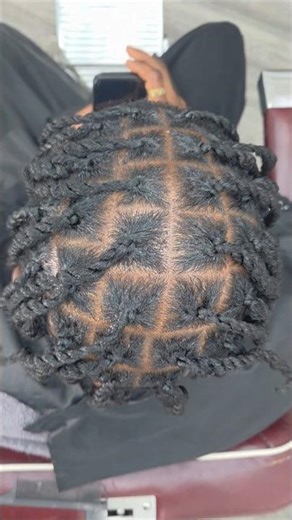 Men's 2-Strand Twists Transformation