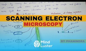 Mind Luster - Learn Scanning electron microscopy SEM Principle mechanism