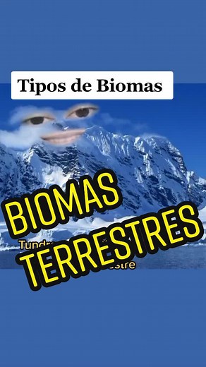 Explorando la Tundra: Biomas y Ecosistemas Terrestres