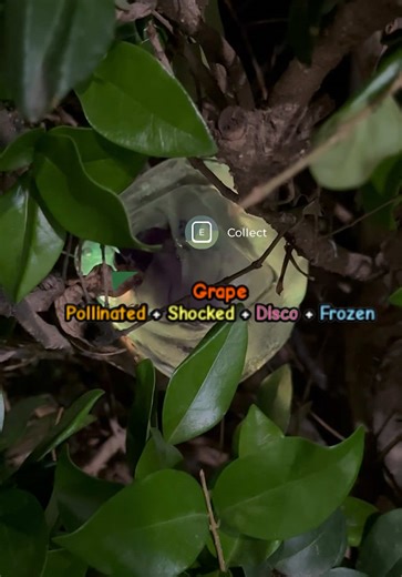 You Say You Okay Grow A Garden But DO YOU REALLY PLAY GROW A GARDEN?! #roblox #growagarden #beeupdate