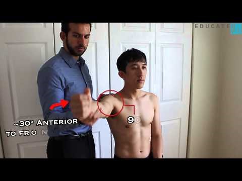 Shoulder Abduction (in Scapular Plane) MMT