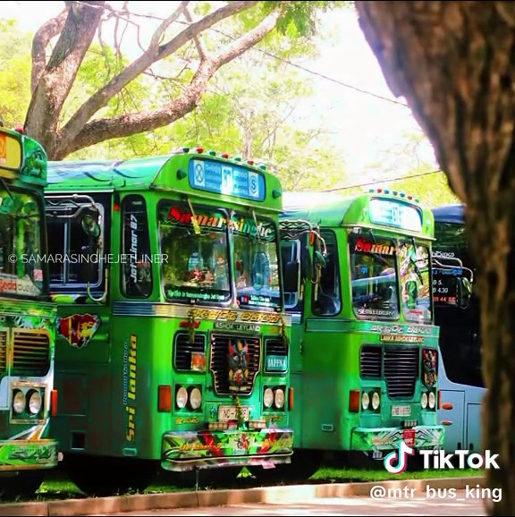 32/87 පාරෙ බර පන්තියෙන් රගන අය 😈 Samarasinghe jet liner 💚 #JetLiner #STS #SamarasingheTransportService #trendingvideo #foryou #jetliner #Tangalle87Jaffna #tangalle87jaffnatangalle87jaffna #Tangalle515Walasmulla