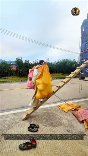 How They Carry This Huge Sack Into a Truck 😮