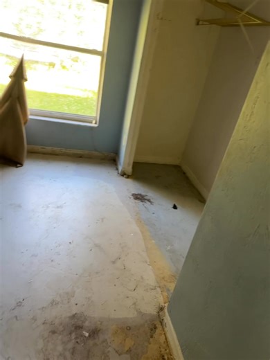 2.6K views · 159 shares | As we wrap up the clean-out process, the transformation of this distressed house is well underway. Our dedicated team at First Class Junk Removing LLC has meticulously sorted through years of accumulated belongings, ensuring that each item is either disposed of responsibly or donated to those in need. With every box cleared and every piece of debris removed, we are paving the way for a fresh start. 3214410430 | David Ebersold | Facebook