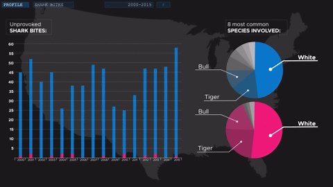 Why Great Whites Are the Ocean’s Most Feared Predators?