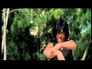 combat maitre chinois