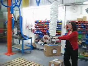 Palamatic Vacuum Box Lifter