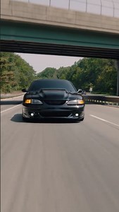 Here Comes the Mustang! Insane Ride Ahead