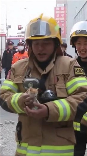 붕괴 잔해 속에서 울음소리가.. 소방관이 파헤치자 😭🧑‍🚒