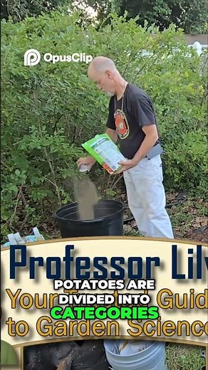 18 Bags, One Method | Fall Potatoes Done Right 🥔