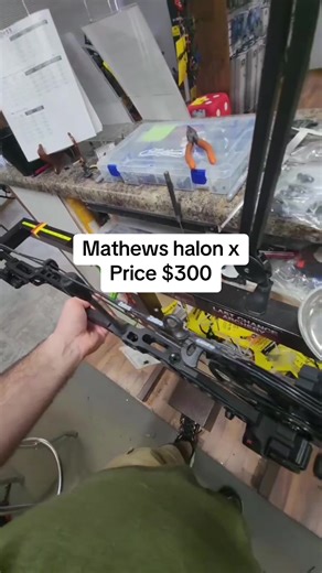 Mathews halon x Price $300 #hunting #hunterxhunter #decoys #huntingtonbeach #fyn