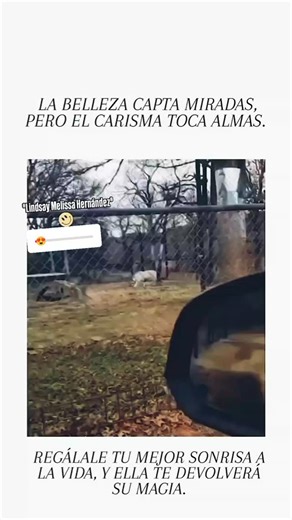 Melissa Hernandez on Instagram: "Belleza VS Carisma 😍🎯"