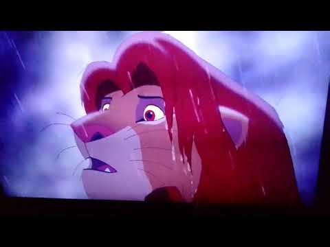 Simba roars - The lion king