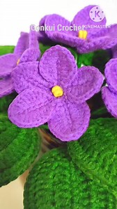 49K views · 688 reactions | Crochet African Violets Flower  Full video tutorial on YouTube Gonkui Crochet step by step #fbreels #reels #crochet #crochetflower #gonkuicrochet | Gonkui Crochet & Chapa crochet craft | Facebook