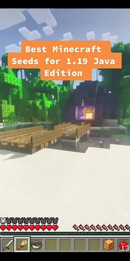 Best Minecraft Seeds for 1.19 Java Edition