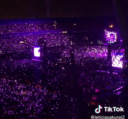 Bad Bunny: Callaita Concert Experience