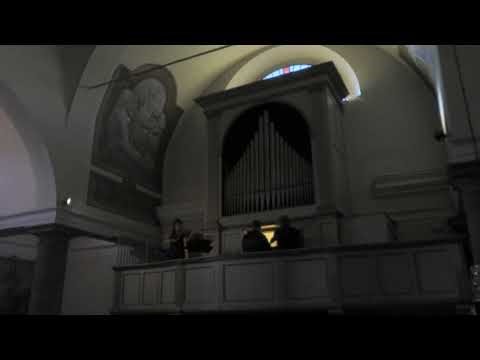 G.P. Telemann, Concerto per viola | Duo Galanti (live recording)