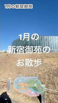 1月の新宿御苑のお散歩ショート #新宿御苑 #ウォーキング #散歩 #東京 #日本 #観光 #shorts