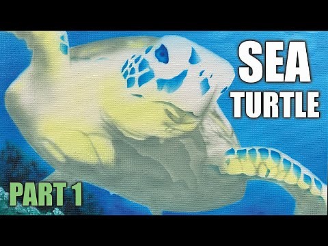 Airbrushing a Sea Turtle Part 1