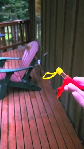 35 reactions | ✨ A Moment of Trust ✨ When a hummingbird chooses to...