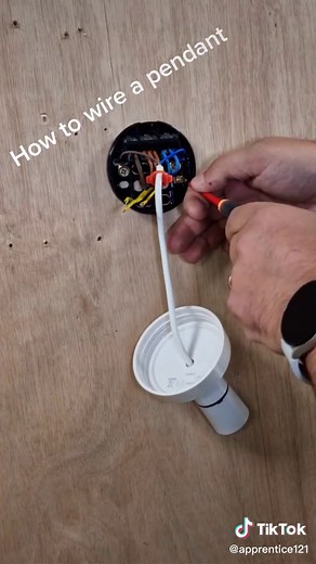 apprentice121 on TikTok