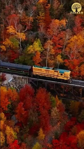 Adirondack Railroad Fall Foliage | Scenic Train Ride Through Upstate New York
