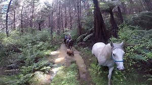 4.3M views · 27K reactions | Geoffry the little conqueror, conquerin' shit. GoPro | Geoffry The Conqueror | Facebook