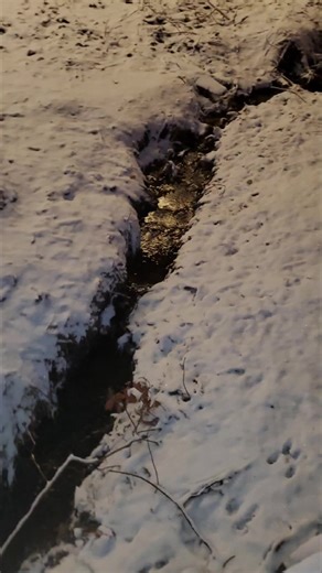 rust-FR #greenscreen #poetrytok #poem #spokenworspoetry #spokenword #rust #love