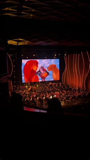 Exploring the Circle of Life in The Lion King