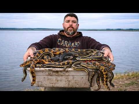 I Tried To Catch Every Reptile I Could In 24 Hours Snakes, Turtles, And More!
