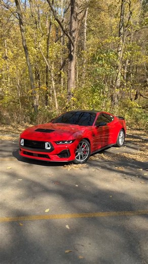 129 reactions | Wheels that make your Mustang pop. The Niche Prodigy Wheels are all about style with speed. Sleek machined finishes and a perfect fitment? You’re not just driving—you’re making a statement.  https://bit.ly/3WGkgdn  Featured product - Niche Prodigy 5 Silver with Machined Face Wheel @hydra5.0 | AmericanMuscle.com | Facebook