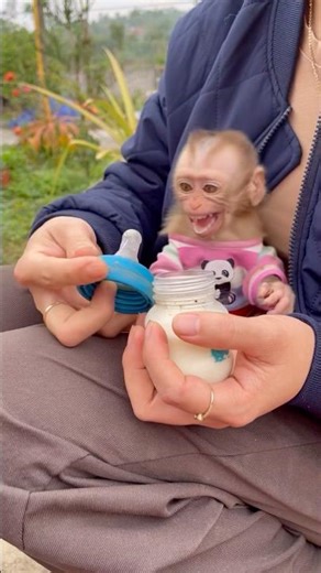 Nana is so hungry! Nana is angry because I took too long to make her milk.