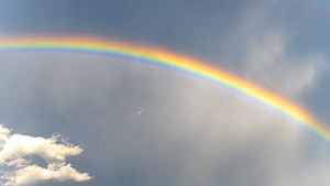 How do rainbows form?