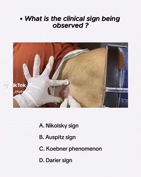 Effective Study Tips for Medical Students