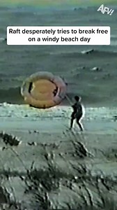 It saw it's window and went for it! 🤣 | AFV Classics