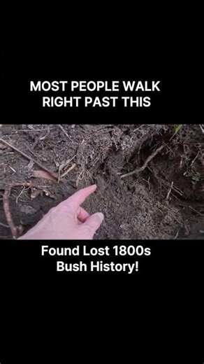 Hidden for 150 Years in the Bush... 🔍 #shorts #exploration