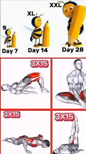 🔥 Boost Blood Flow to Groin | 4 Best Exercises for Men | Daily 3x15 Workout
