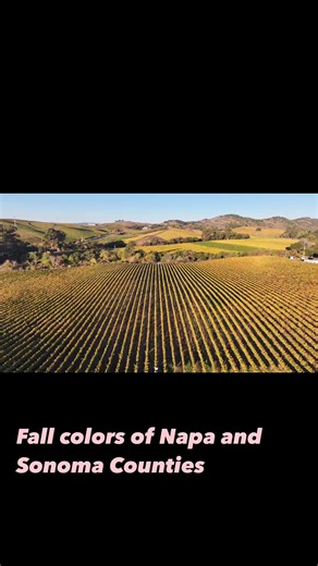Fall colors in Napa and Sonoma County vineyards. (Video by Beth Schlanker/Press-Democrat) | Press Democrat