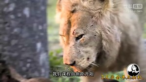 佳能单反相机入门教程_佳能350D_12天完全学会