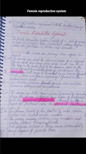 Female reproductive system handwritten notes