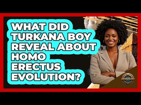 What Did Turkana Boy Reveal About Homo Erectus Evolution? - Archaeology Quest