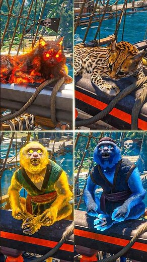 Every Ship Pet in Black Flag Resynced 🐒