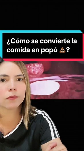 Understanding the Process of Digestion: How Food Turns into Poop