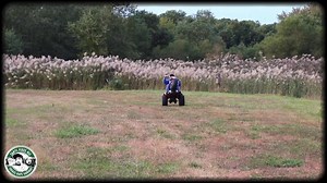 328 reactions · 8 comments | Taryl Dactal - The Wheelie Man Subscribe Today! YouTube: Taryl Fixes All Now There’s Your Dinner!! | Taryl Fixes All | Facebook